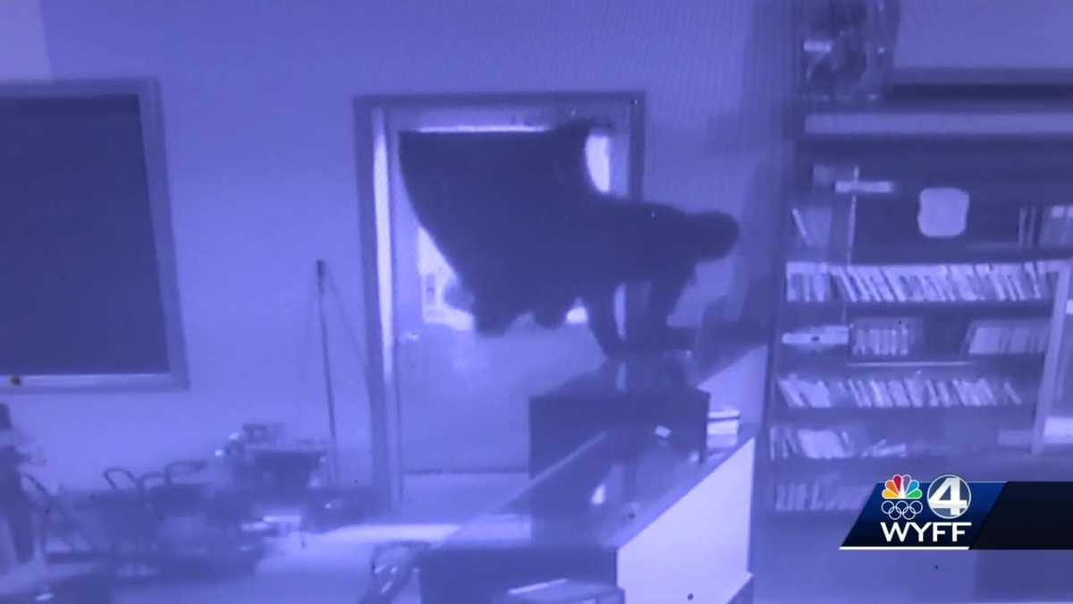 Video Shows Man Break Window Climb Through It To Steal Gun From Upstate Pawn Shop Store Says