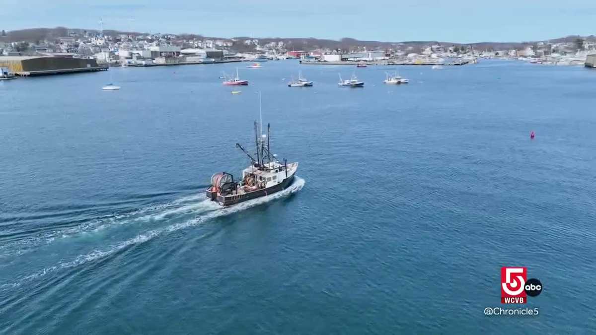 Non -profit gloucester merges the fishing heritage with advanced sciences