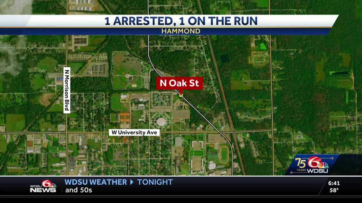 Hammond police search for suspect in stolen car investigation