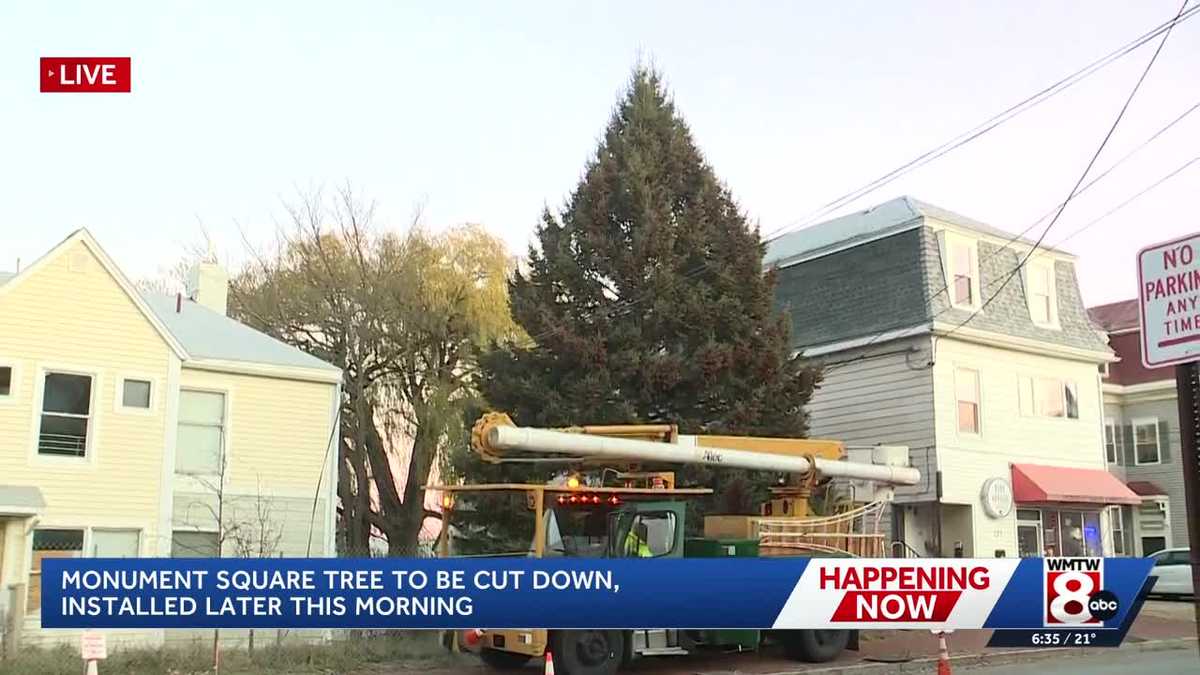 Portland installs Monument Square Tree for holidays