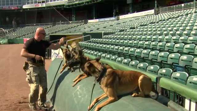 Navy SEALs set to demonstrate skills at Delta Dental Stadium - Vimarsana News