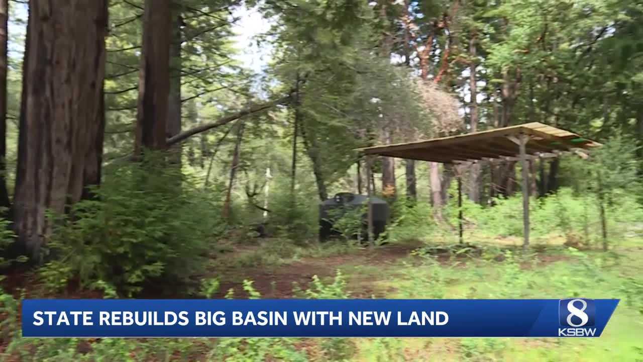 Big Basin expands with 153-acre purchase as park rebuilds after 2020 fires