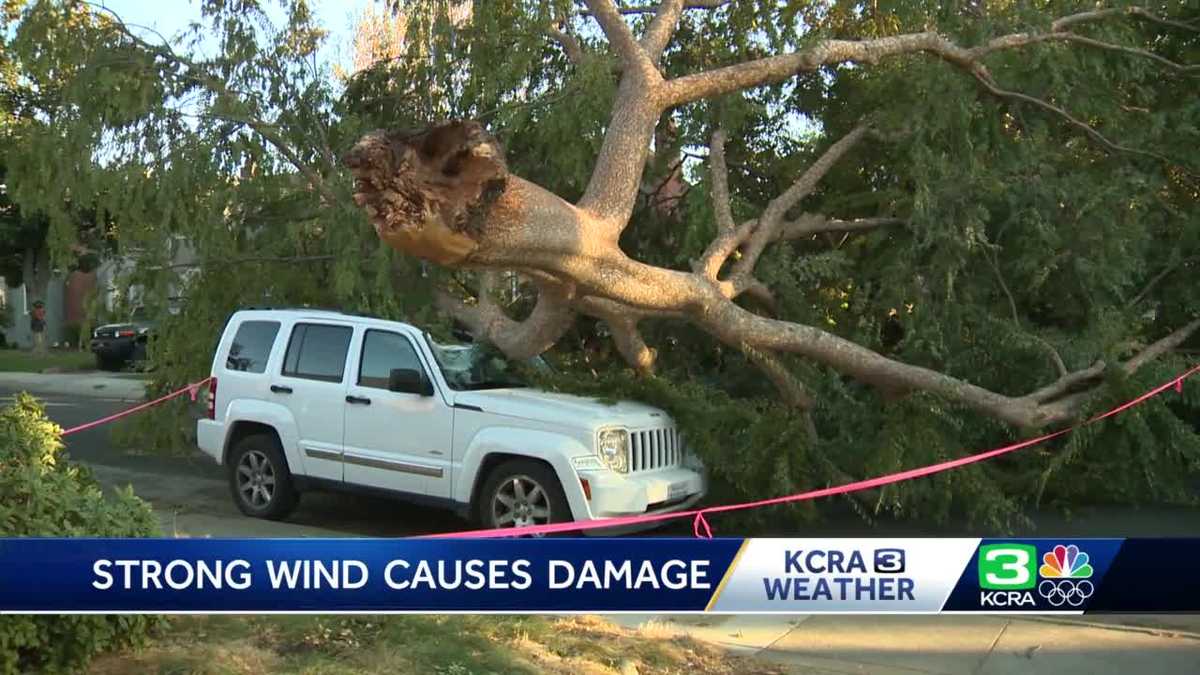 Strong winds down trees, power lines in Sacramento