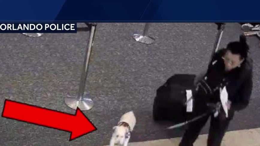 Warrant issued for woman who drowned dog in Orlando airport