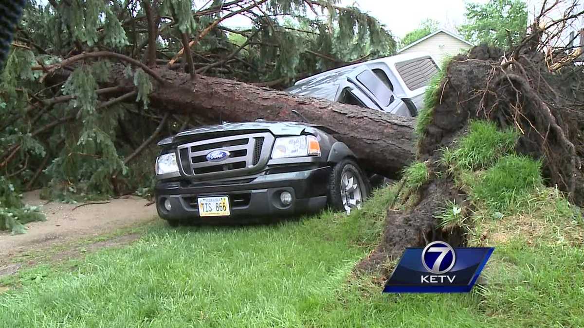 Strong storms and heavy winds bring down trees in Valley