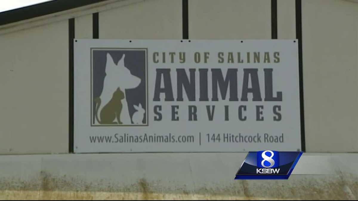 Monterey County and City of Salinas work to merge animal control and