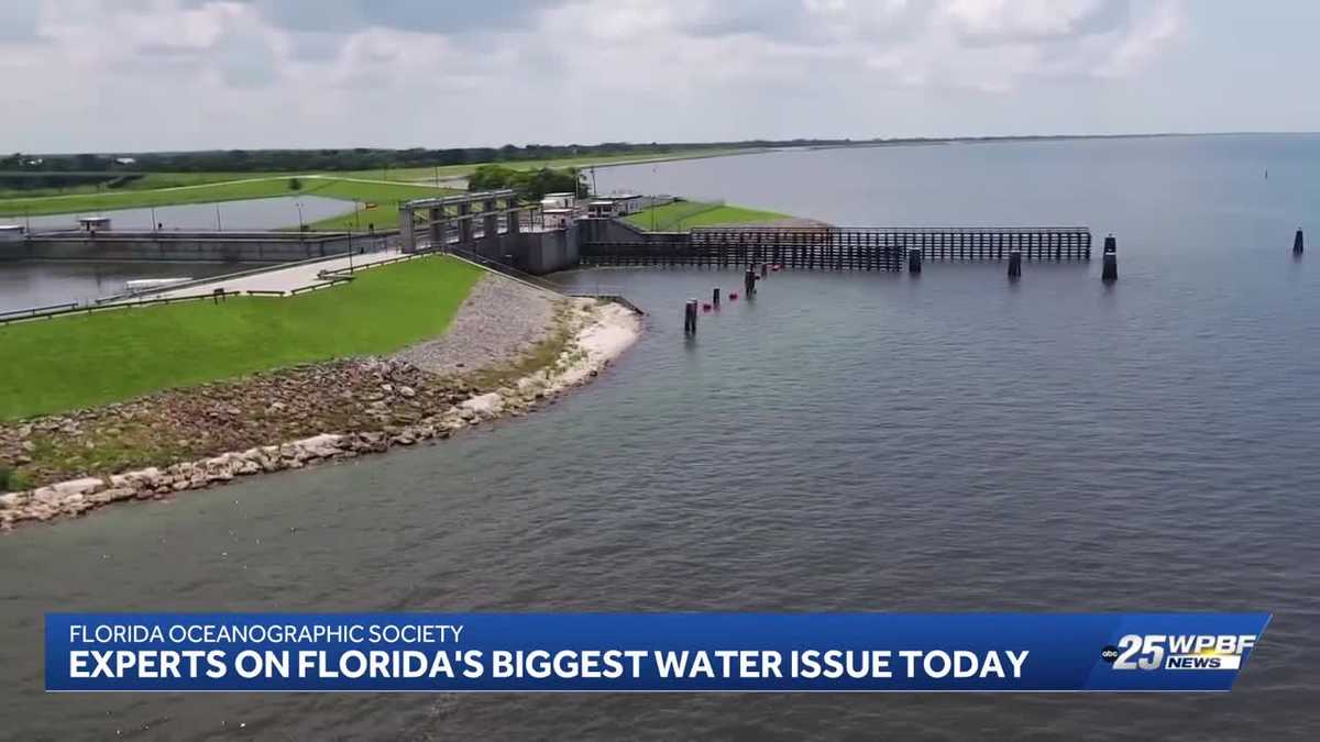 Experts Explain South Florida's Biggest Water Issue