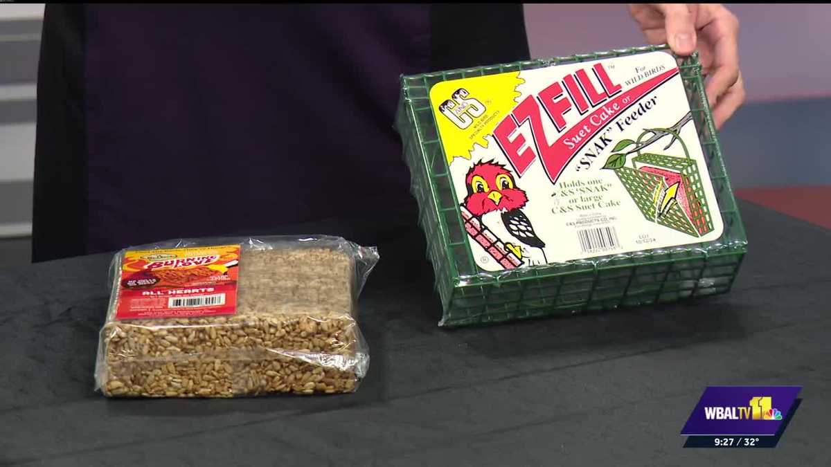 Valley View Farms: Feeding birds in the winter when they need it most