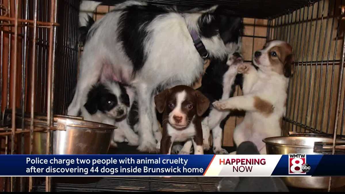 2 face animal cruelty charges in Brunswick