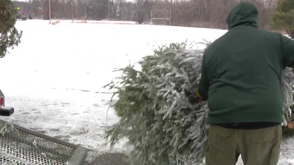 An Omaha Boy Scout troop pick up and recycle Christmas Trees