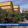 Soaring diesel prices hit San Joaquin County farmers hard during harvest season