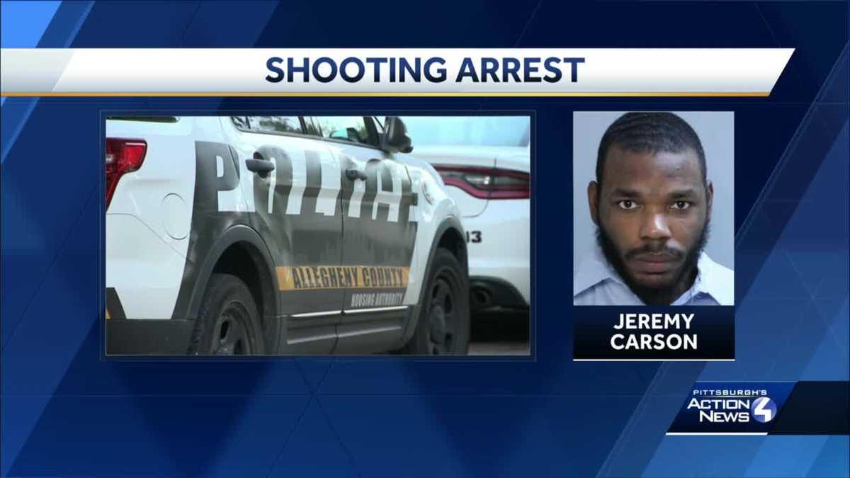Two arrests made in Stowe Township shooting