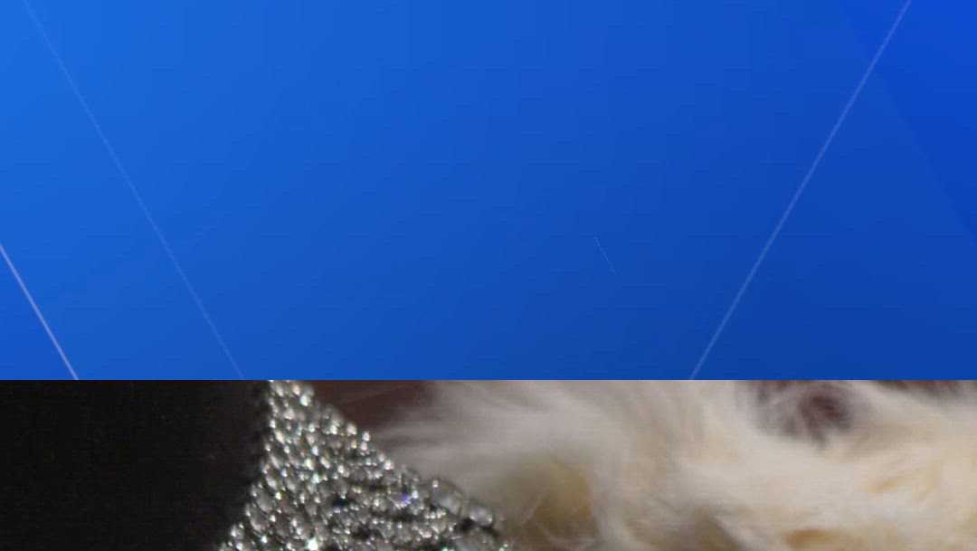 Presbytère Black carnival society exhibit opens