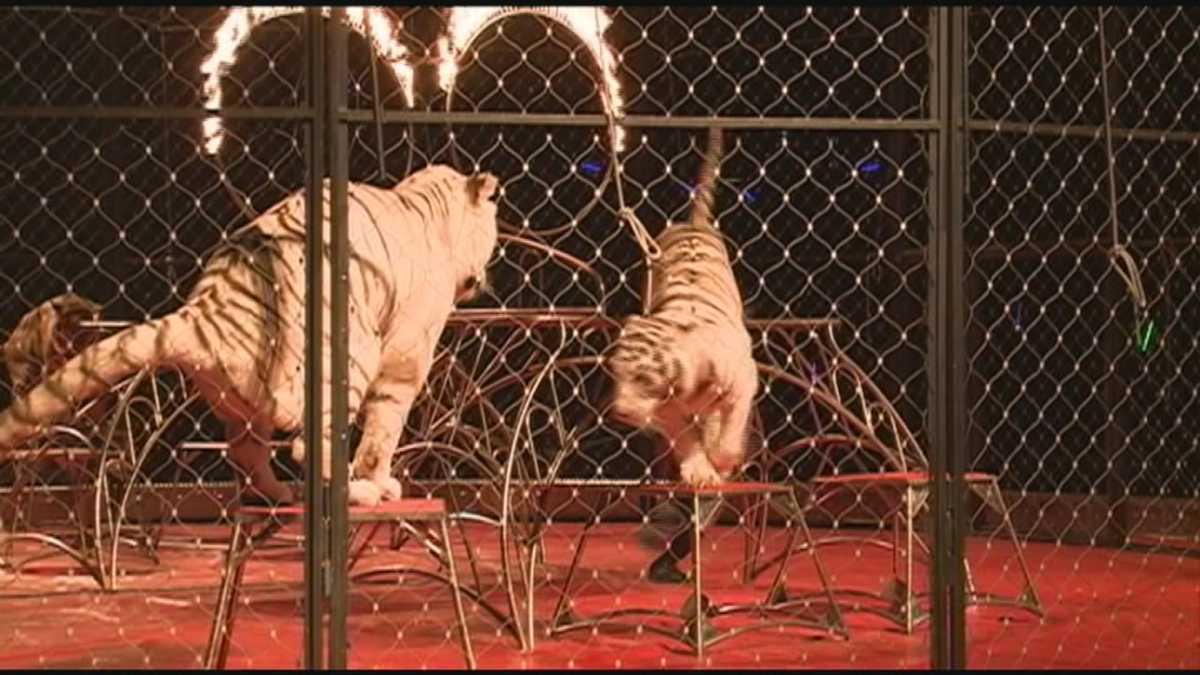 Kosair Shrine Circus returns to Louisville