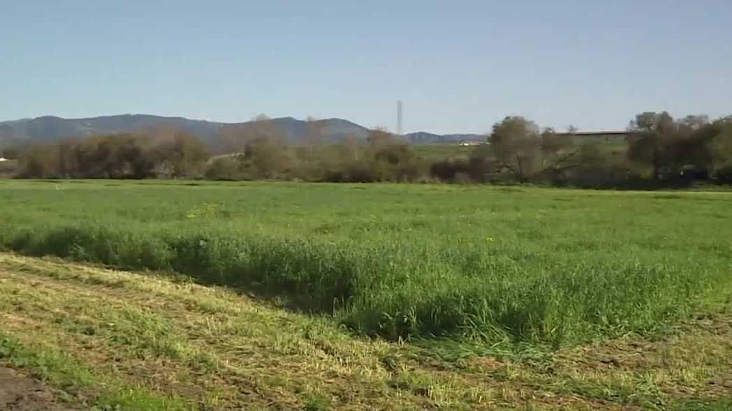 Salinas Regional Soccer Complex lands $250,000 deal as $45M expansion enters phase three