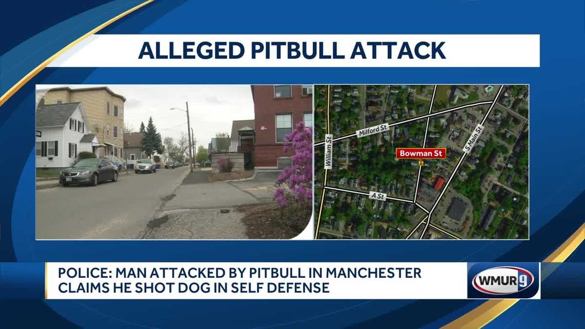 Police: Man allegedly attacked by dog in Manchester