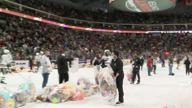 WATCH: More than 50,000 stuffed animals thrown onto ice at hockey game WATCH: More than 50,000 stuffed animals thrown onto ice at hockey game
