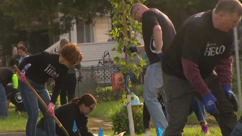 Council Bluffs urban canopy gets boost with new shade trees - KETV