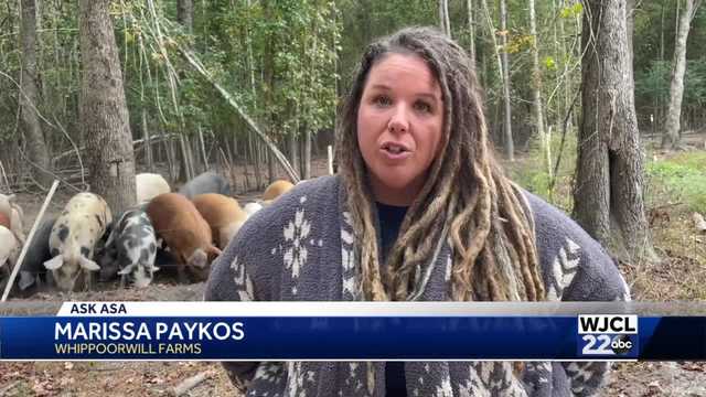 Ask Asa: South Carolina farmer proves Santa exists - Vimarsana News