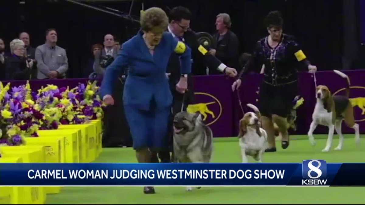 2 Carmel residents to judge Westminster Kennel Club Dog Show