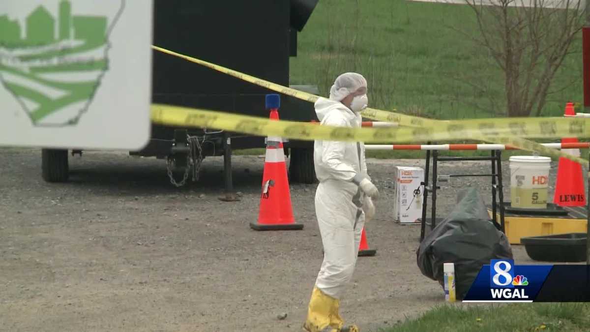 Auf einer Farm in Lancaster County, Pennsylvania, werden derzeit Tests zur Vogelgrippe durchgeführt