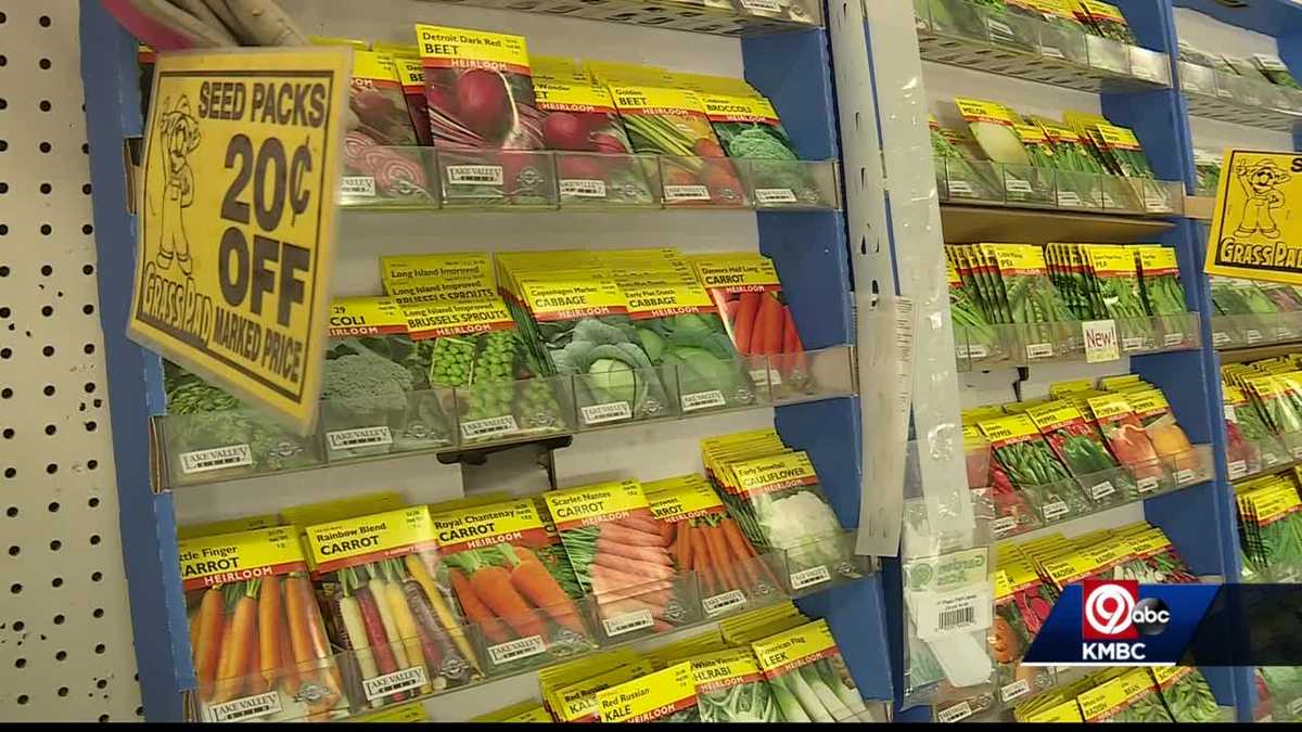 Garden centers seeing more people interested in vegetable gardens