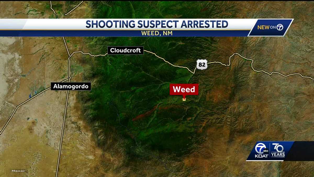 Suspect arrested in fatal convenience store shooting