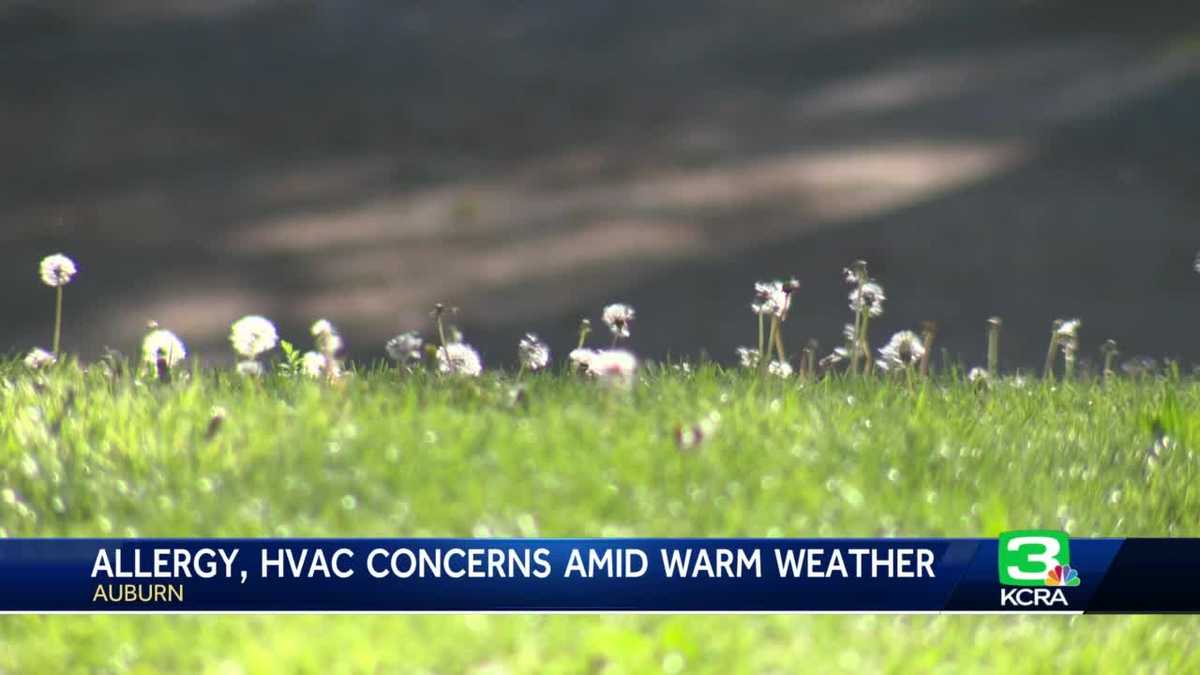 Warm weather after wet winter leads to ‘severe allergy’ season