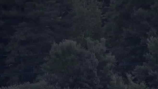 Body of missing boater found after 4-day search of Mass. pond - Vimarsana News