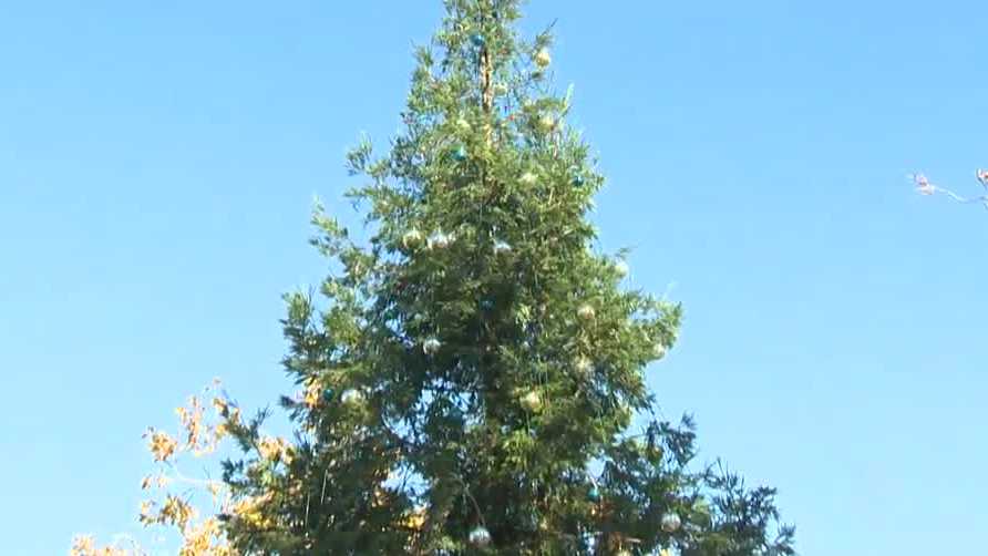 Preparations underway for parade, tree lighting ceremony in Davis