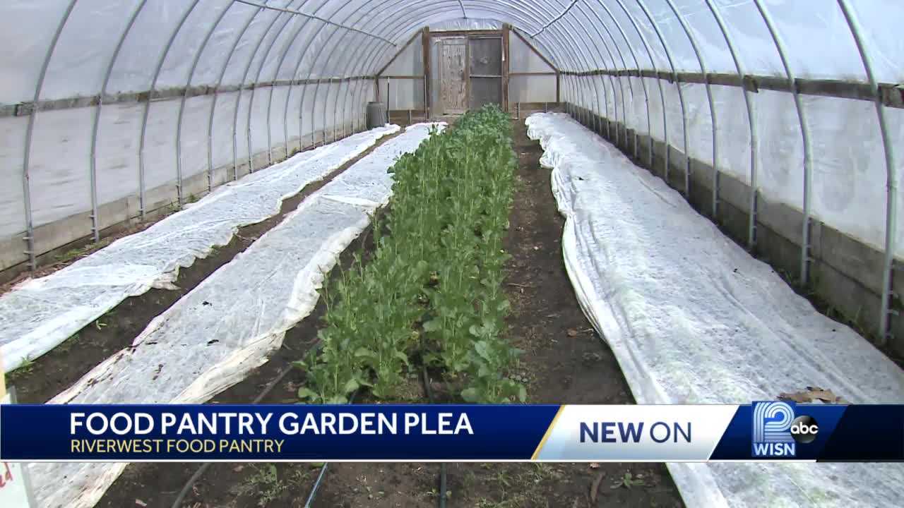 Riverwest Food Pantry looking for volunteers - Vimarsana News