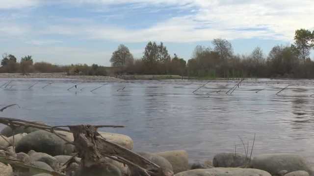 Collaborative project expands wildlife habitat along the lower Yuba River - Vimarsana News