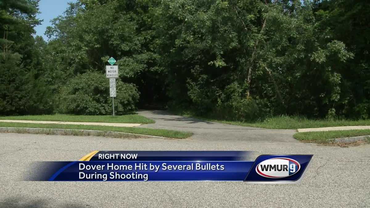 Shots fired in Dover neighborhood