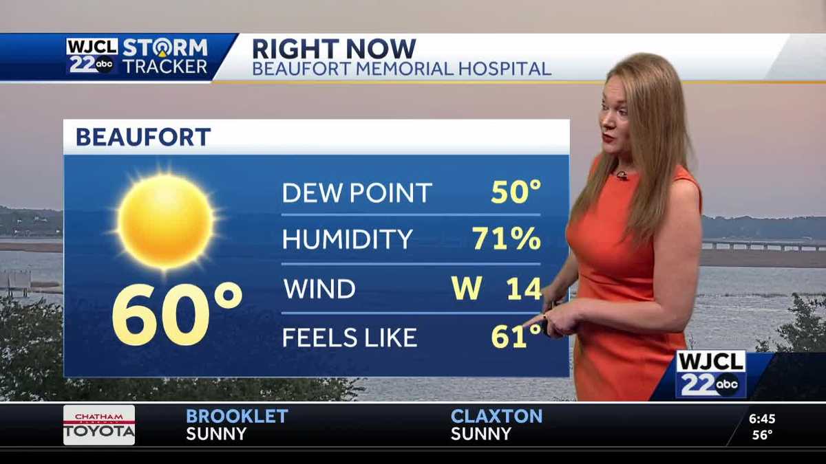 Beautiful but breezy day ahead but a cold front is coming to Savannah ...