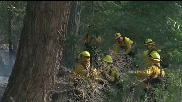 Albuquerque police are working to stop illegal bosque burning - Vimarsana News