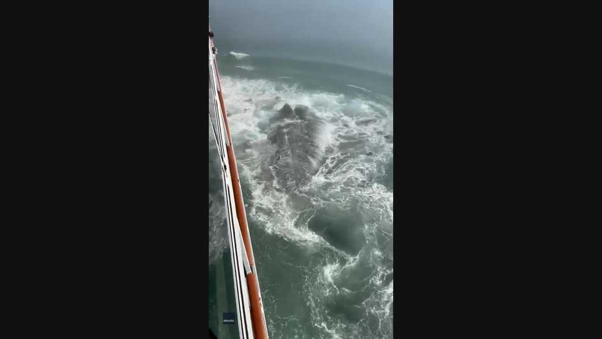 VIDEO: Cruise ship hits piece of iceberg off Alaska
