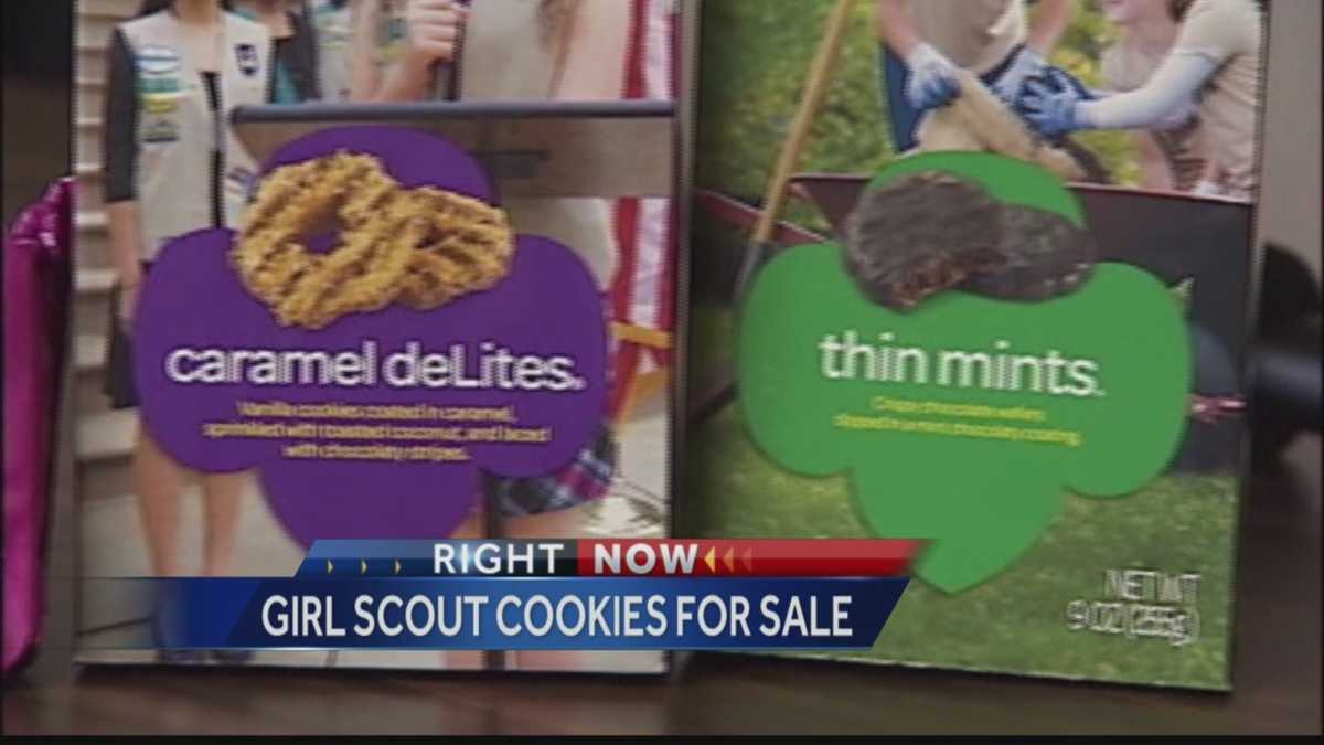 Its Girl Scout Cookie Time 8636