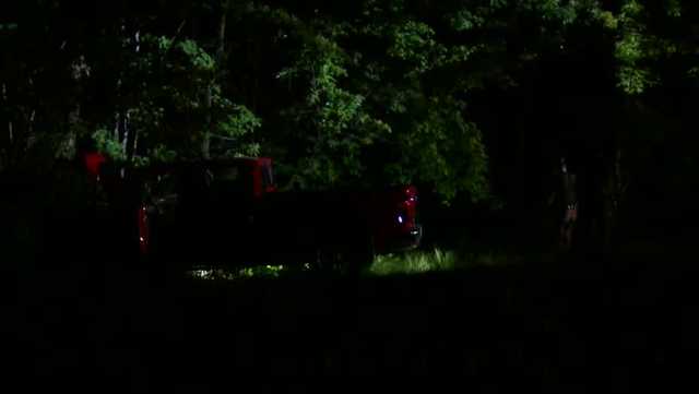 Truck crashes into tree in Bow, kills one person - Vimarsana News