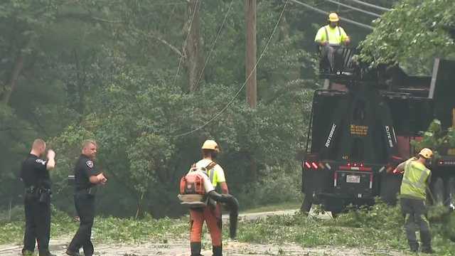 Newmarket, New Hampshire: Tree falls on car - Vimarsana News