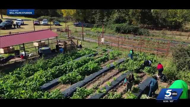 Black-owned farm in Spencer celebrates one year of community impact