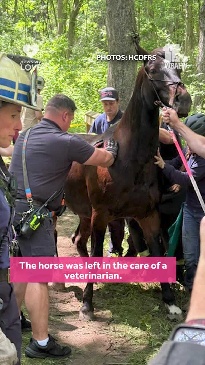 Hourslong rescue effort frees horse stuck on bridge at Maryland state park