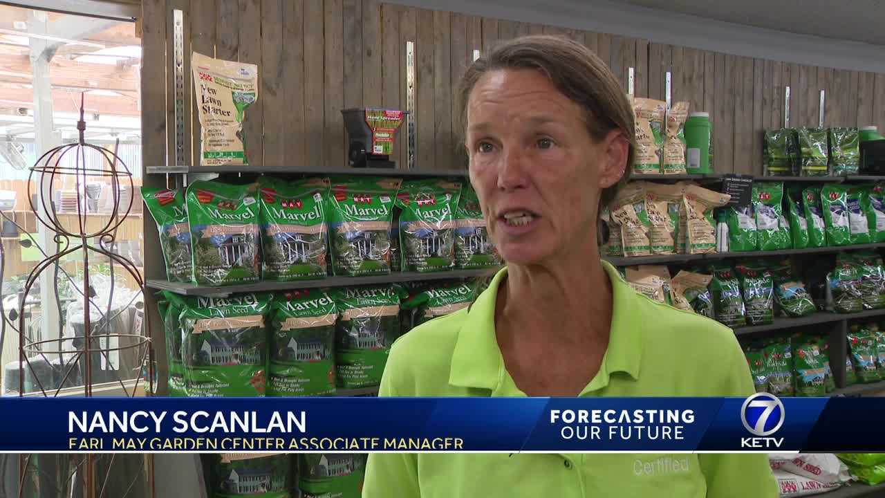 Clover's popularity grows for homeowners seeking drought-resistant lawns - Vimarsana News