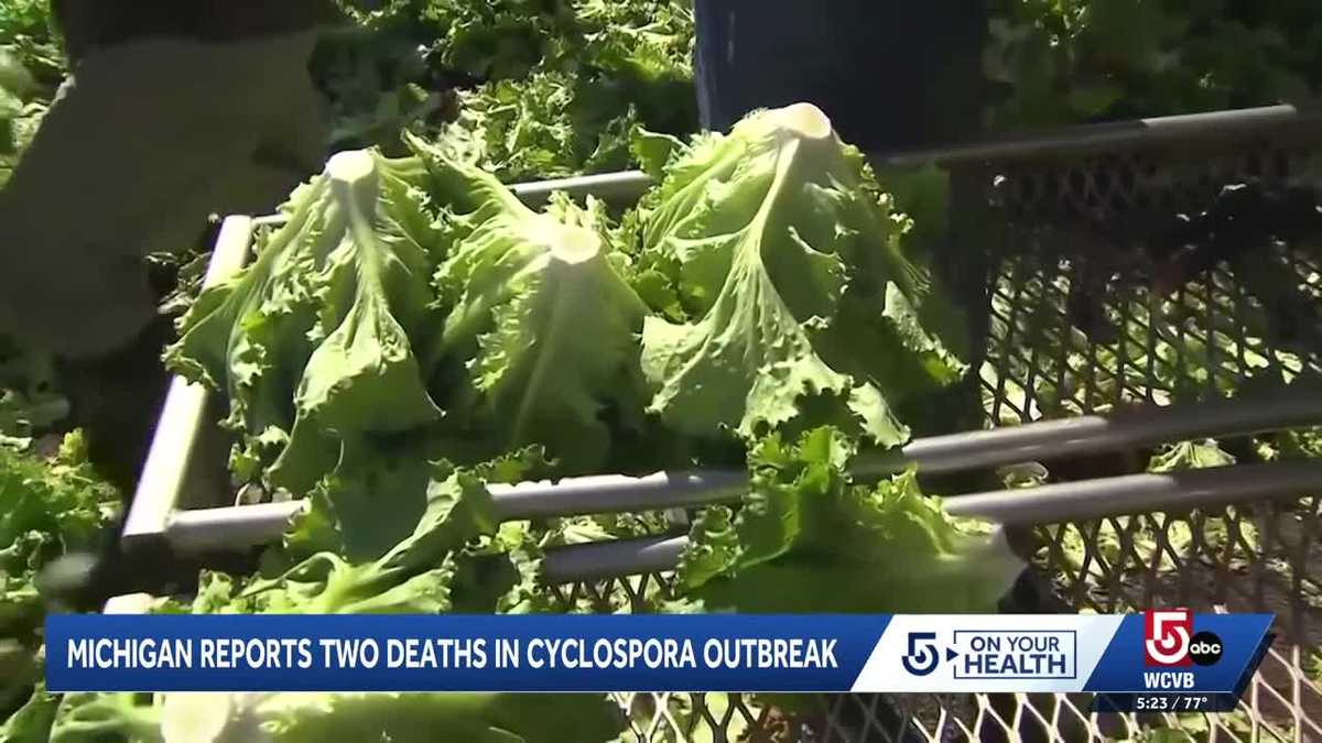 Doc talks cyclospora after two deaths reported in Michigan from outbreak