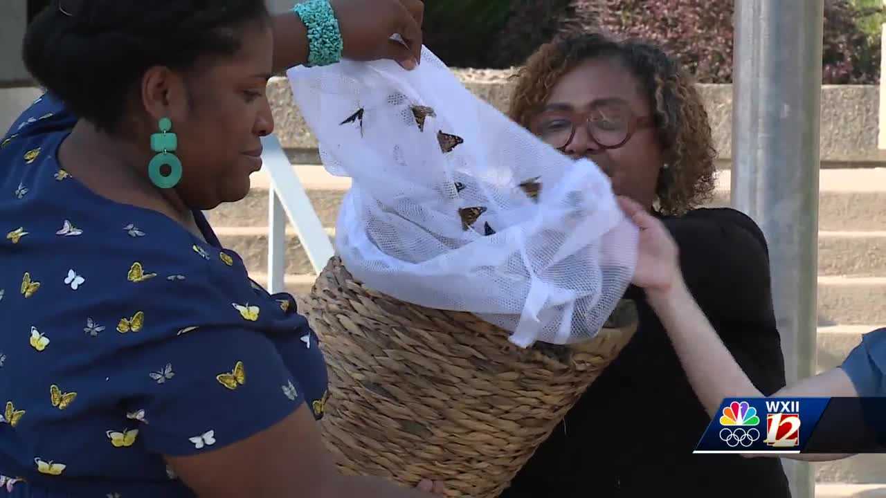 Guilford County officials hold butterfly release to honor victims of crime - Vimarsana News