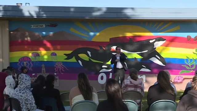 Olson Elementary in Marina unveils new school mural - Vimarsana News
