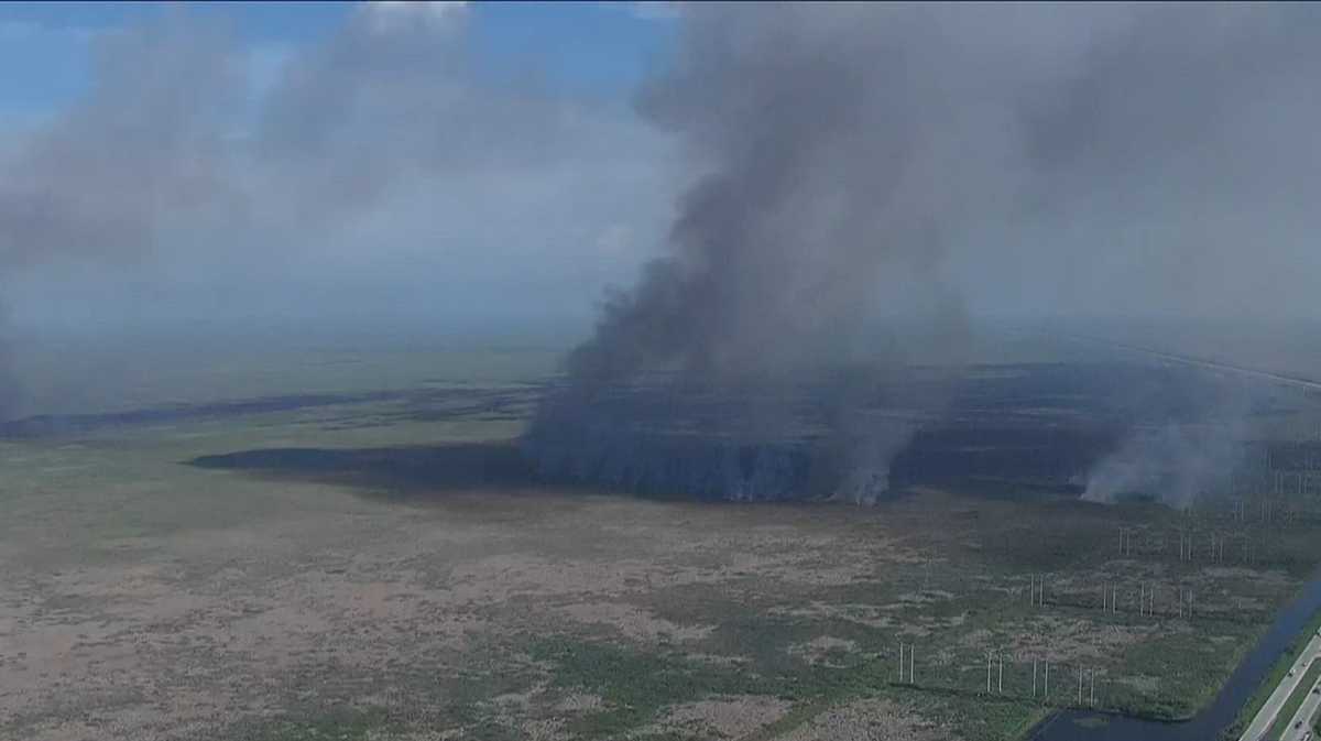 Brush fire in western Broward County. WPLG video
