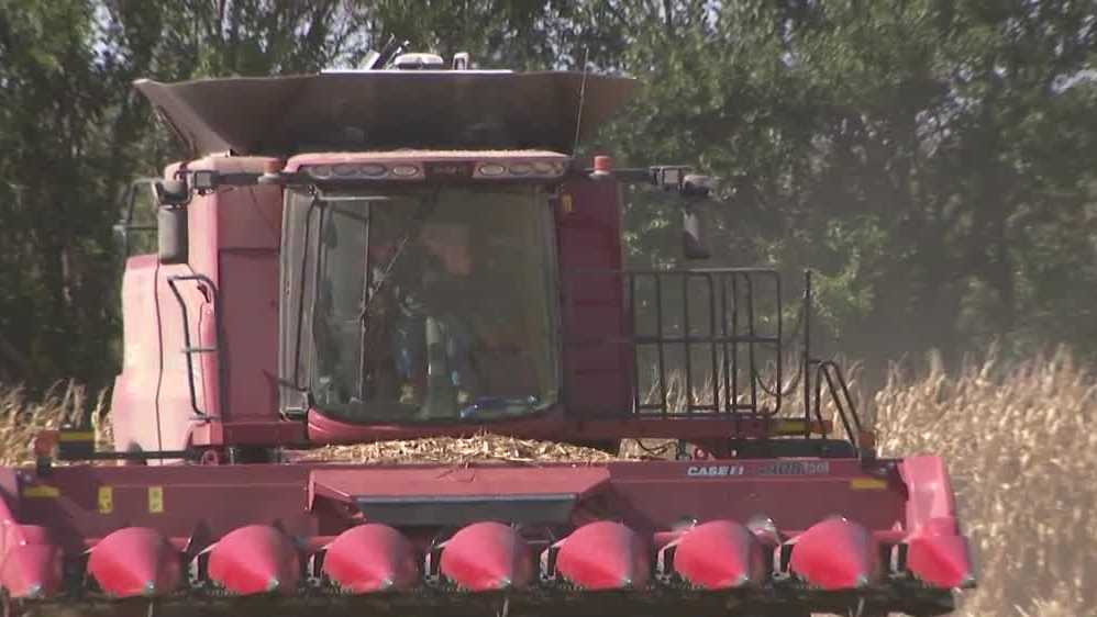 Nebraska farmers pleasantly surprised by harvest