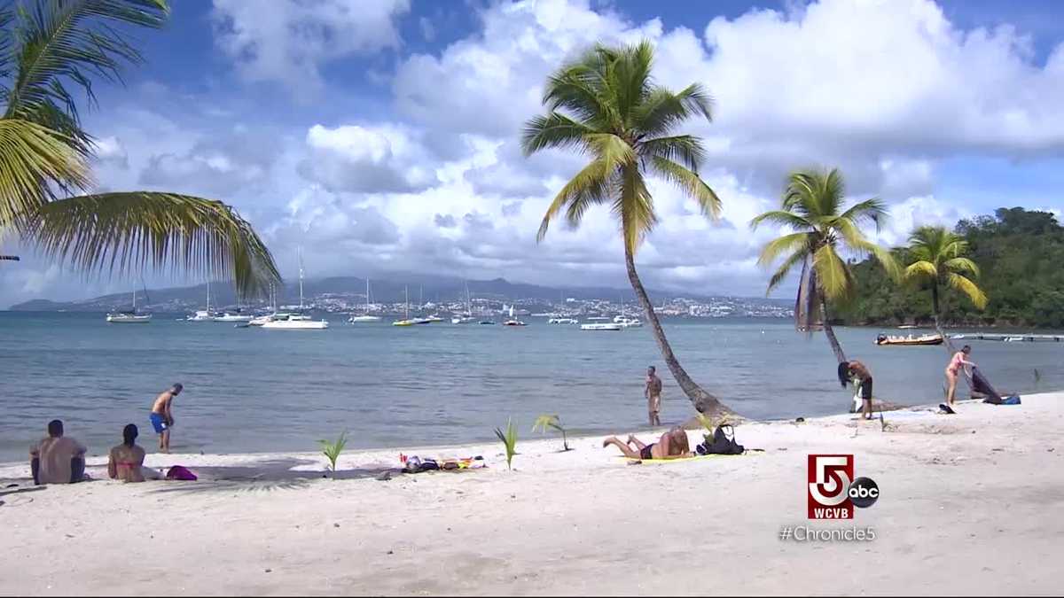 Martinique The Island of Flowers