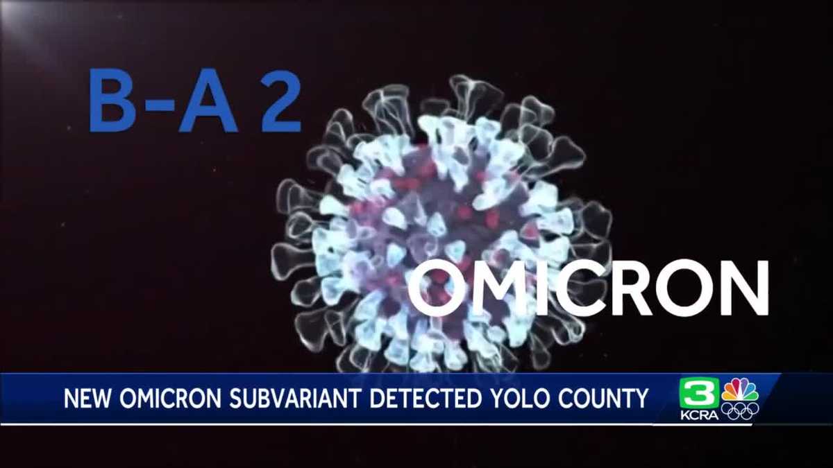 Contagious COVID-19 subvariant of omicron found in Yolo County – KCRA Sacramento