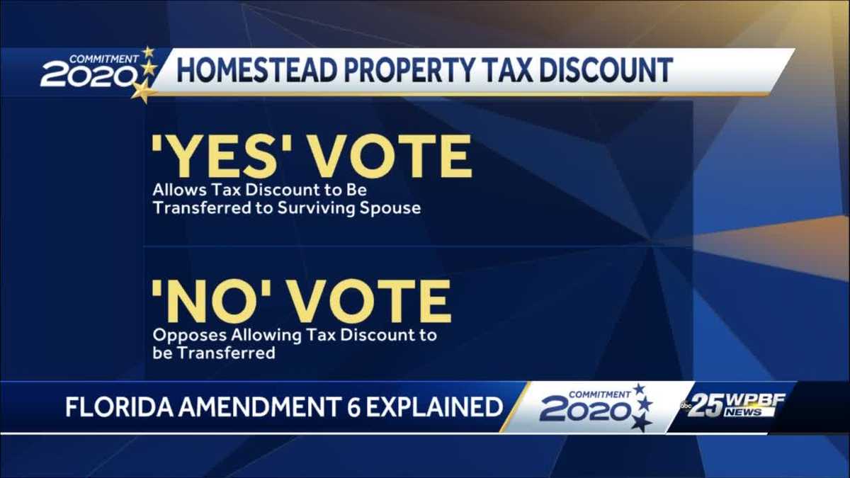 Explaining Amendment 6